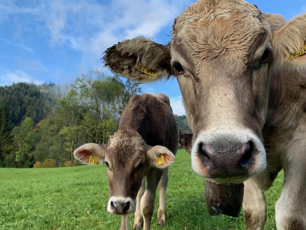 Alpenlaendischer Chic Oberstdorf Dış mekan fotoğraf