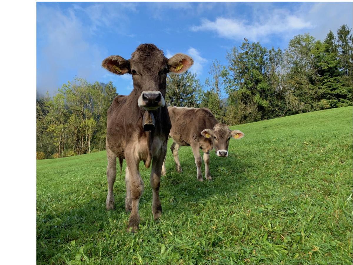 Alpenlaendischer Chic Oberstdorf Dış mekan fotoğraf